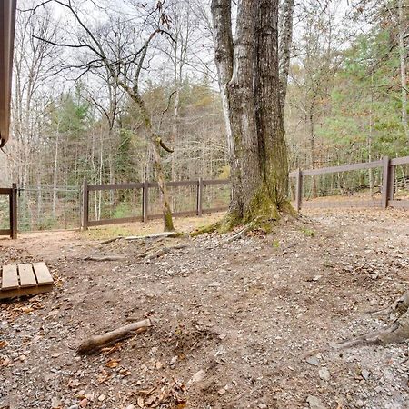 Peaceful Warne Cabin Fenced Yard And Screened Porch Brasstown Exterior foto