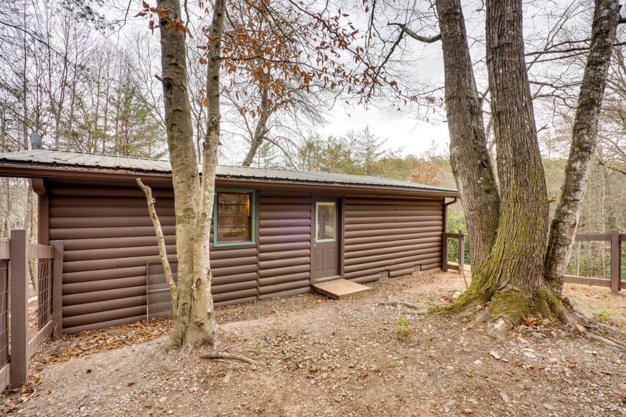 Peaceful Warne Cabin Fenced Yard And Screened Porch Brasstown Exterior foto